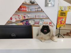 -萌兽医馆·眼科·异宠专科(三里屯店)