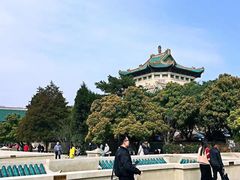 -武汉大学-樱园