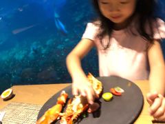 -海棠湾洲际-涛·海底餐厅·美人鱼·自助餐·海底隧道