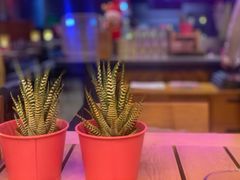 -THE CUT Rooftop顶楼牛排餐吧(环贸iapm店)