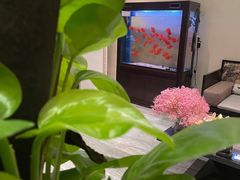 -北纬37°SPA养身会馆(湖西店)