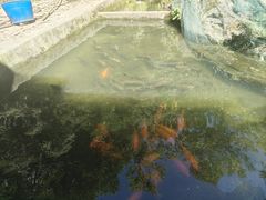 -途中饭店(开化店)