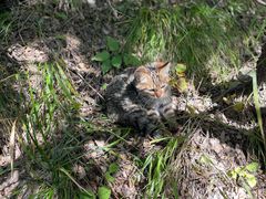 -终南山南五台景区