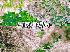 -国家植物园