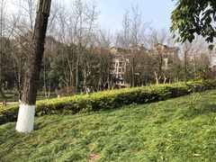 -重庆彩云湖湿地公园