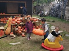 -HERRE·FARM 赫尔露营农场·团建聚会包场