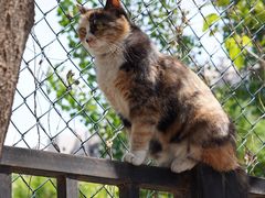 -里面·Noodlology(机电院店)