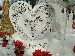 -荷兰花海