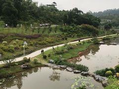 -东莞植物园
