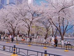 -西北湖绿化广场