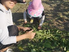 -九善农植有机生活农场