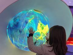 -贝林大翅鲸简餐厅(国家海洋博物馆店)