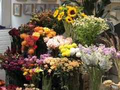 -植物学家的女儿(北马道巷店)