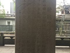 -上海佘山国家森林公园西佘山园