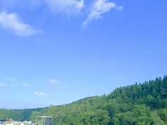 -武陵山森林公园