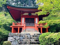 -醍醐寺