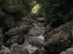 -龙苍沟森林公园