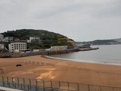 -魚當家