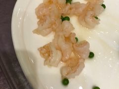 -宝燕壹号(徐汇店)