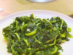 鸡油炒豆苗-海鲜街菜馆(海珠南路店)