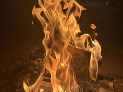 -芭比堂动物医院·CT·微创中心(新顺分院)