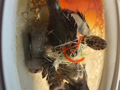 -古韵轩·江浙融合菜(梁溪店)