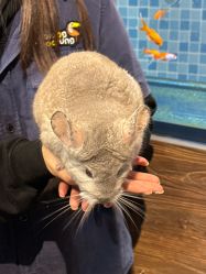 -Zoolung Zoolung动物主题公园(海信广场店)