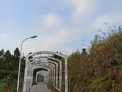 -军营村