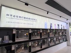 -翊宠yipet猫狗购宠庄园犬舍•猫舍
