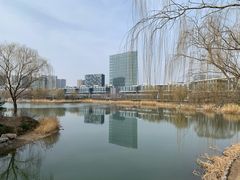 -大兴滨河森林公园