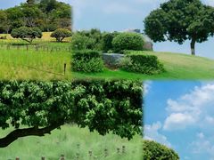 -红花山公园