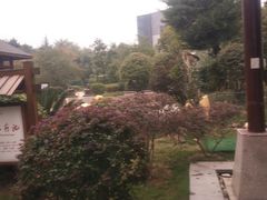 -咸宁万豪温泉谷度假区