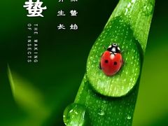 -华祥苑茶馆•国缤茶小蓝罐(普罗旺斯店)