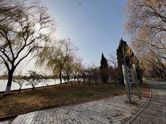 -石家庄市植物园