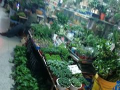-宝鸡东道花鸟鱼虫市场(吉利花园商场店)