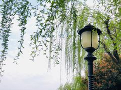 -葛记焖饼(伏牛路店)