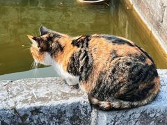 -苏州文庙(姑苏区)