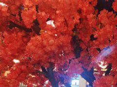 -探花·意境江南菜·唐伯虎文化体验店·松鼠桂鱼(观前店)