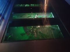 -上海崧泽遗址博物馆