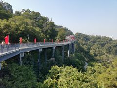 -金鸡山公园