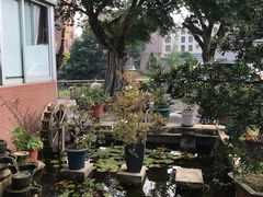 -龙回山庄
