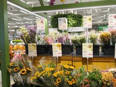 -鹿岛生活(熙地港店)