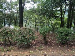 -石燕湖生态旅游景区