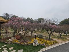 -无锡梅园公园