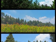 -鼓岭旅游度假区