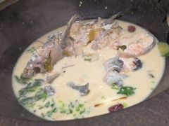 青椒紫苏锅-鲜潭蒸汽石锅鱼(五道口购物中心店)