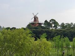 -东莞植物园