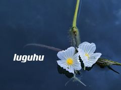 -丽江泸沽湖景区