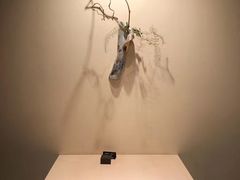-焼肉矢澤 京都