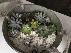 -娜娜家•Nana’Garden (福州道店)